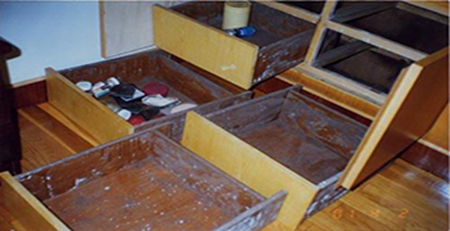 家具發霉 家具發霉