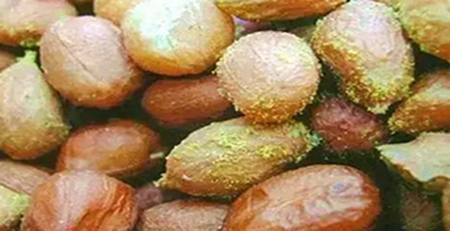 發(fā)霉的花生 發(fā)霉的花生