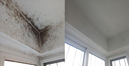 墻面發(fā)霉-除霉效果對比圖 墻面發(fā)霉-除霉效果對比圖