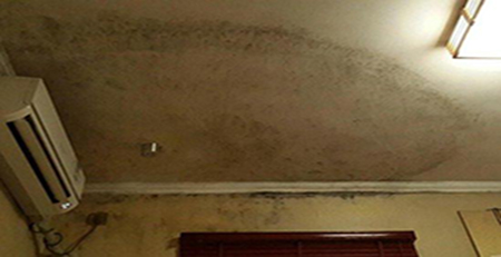 墻面發霉 墻面發霉