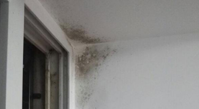 1658219988987144.jpg 白墻發(fā)霉2.jpg