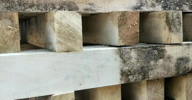 1658220518506069.jpg 木材除霉.jpg