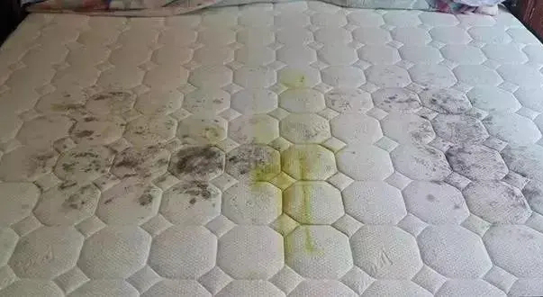 1660894848660894.jpg 床墊.jpg