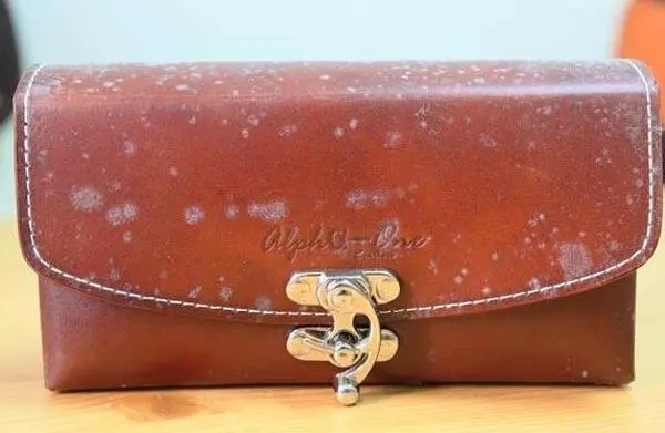 1661759210461686.jpg u=812577452,1658537646&fm=253&fmt=auto&app=138&f=JPEG.webp.jpg