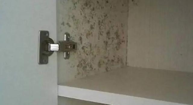 1663060455777342.jpg 衣柜發(fā)霉.webp.jpg