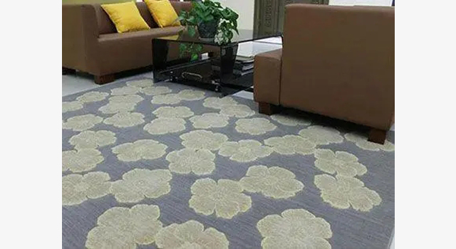 1665478095252081.jpg 地毯.jpg