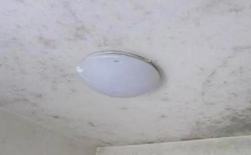 1670571436884474.jpg 石膏板發霉.webp.jpg